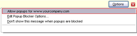Disable pop ups OpenCms